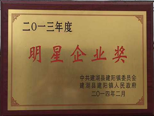 2013年度明星企业奖
